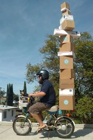 #72 Savage Cat Food - Savage Pet