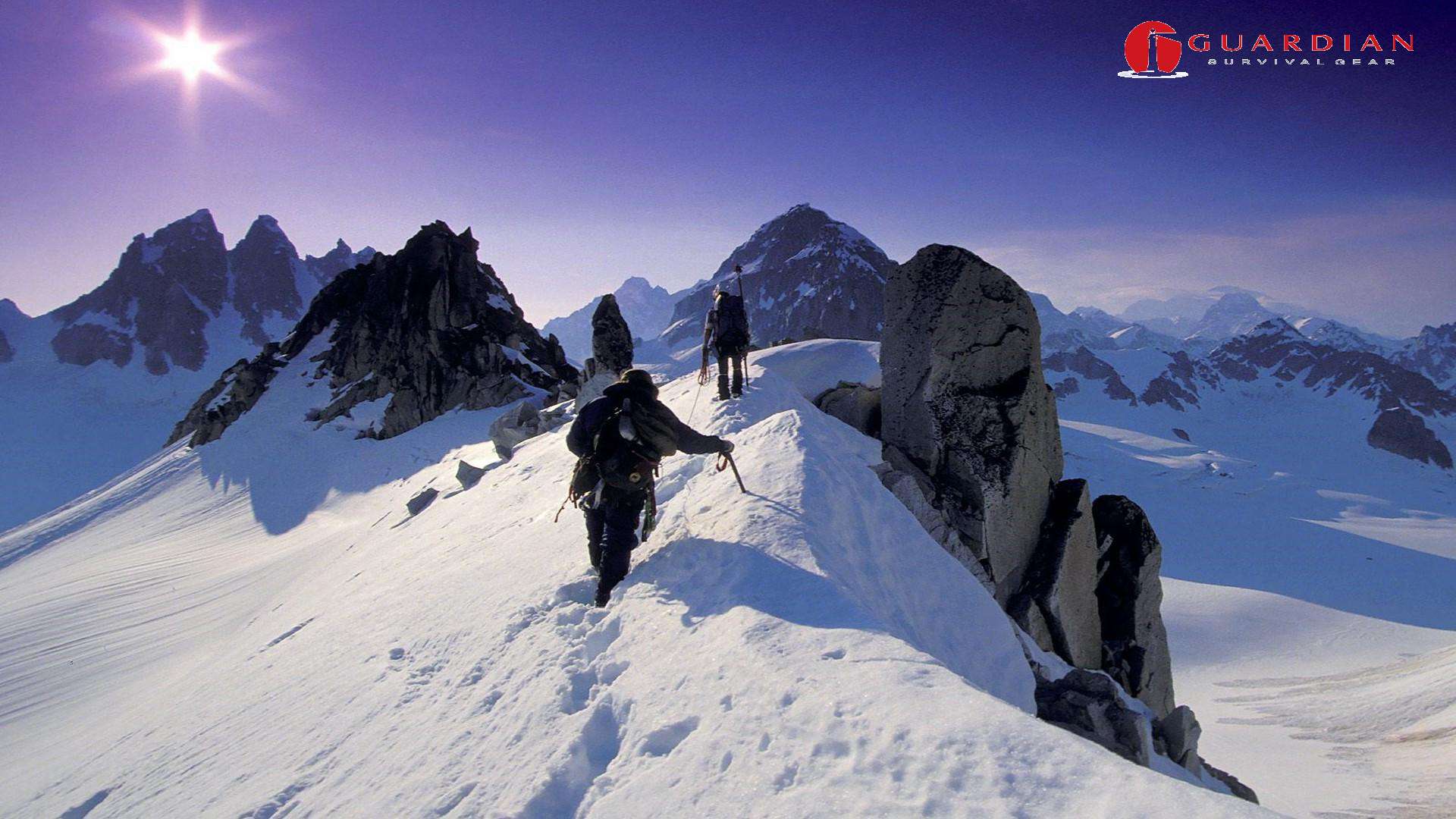 Guardian_Survival_Image