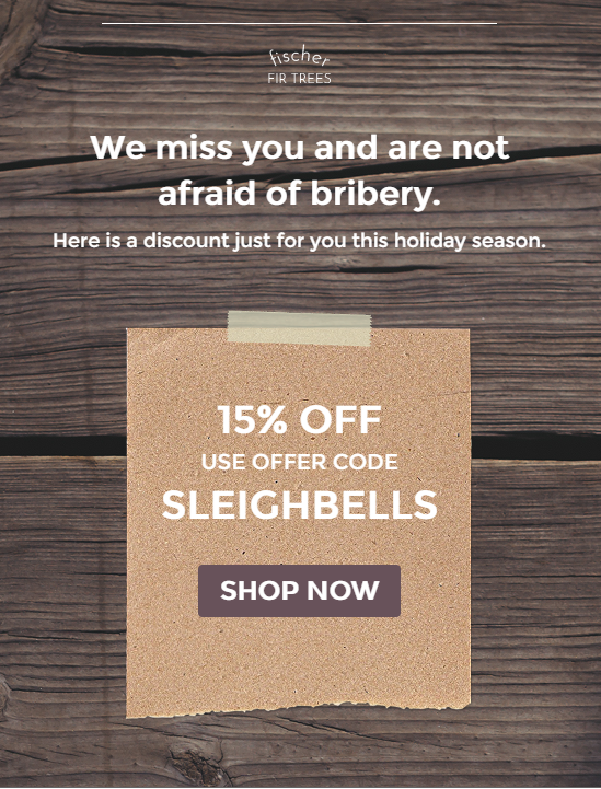 Holiday Customer Retention email winback