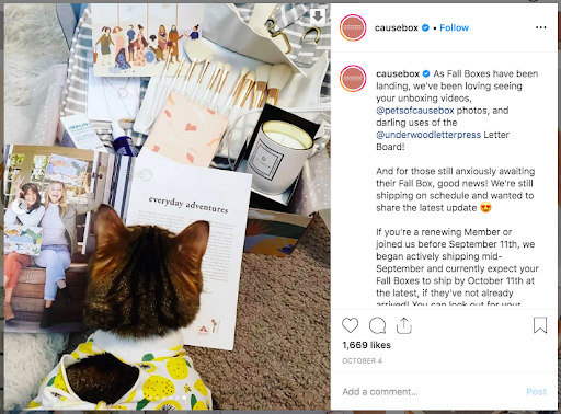 influencer marketing UGC